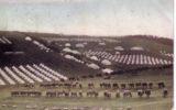 cavalry; lancers; stobs camp; bell tents; horses; IL011