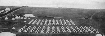 All neatly lined up