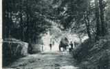 horse; cart; road; valentines; children;