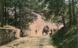 road; wagon; horse; stobs; valentines series;