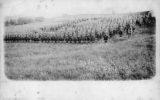 Ninth Volunteer Battalion (Highlanders) Royal Scots